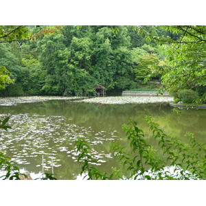 照片 日本(Japan) 京都(Kyoto) 龙安寺(Ryoanji Temple) 2010-06 66