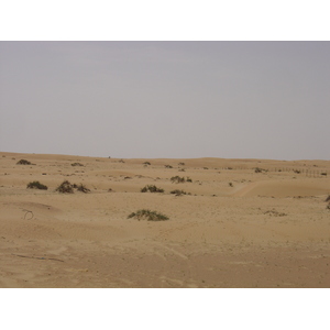 照片 阿联酋(United Arab Emirates) 迪拜至艾因公路(Dubai to Al Ain road) 2005-03 17