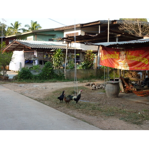 照片 泰国(Thailand) 彭世洛(Phitsanulok) 宗通(Chom Thong) 2009-12 60