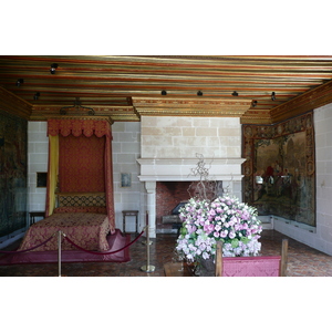 照片 法国(France) 舍农索城堡(Chenonceau Castle) 2008-04 96