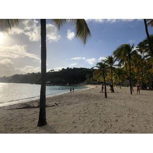 照片 瓜德罗普(Guadeloupe) 卡拉维尔海滩(La Caravelle Beach) 2021-02 58