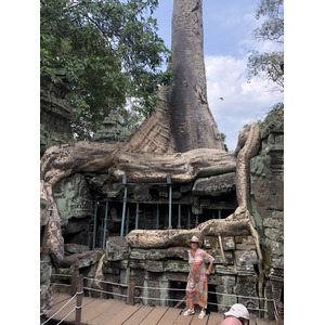 照片 柬埔寨(Cambodia) 暹粒(Siem Reap) 塔布茏寺(Ta Prohm) 2023-01 78