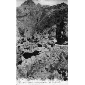 照片 法国(France) 科西嘉岛(Corsica) 老明信片(Old Postcards) 1900-01 27