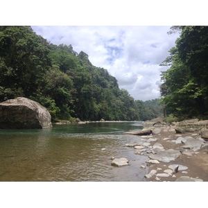 照片 哥斯达黎加(Costa Rica) 帕夸雷河(Pacuare River) 2015-03 69