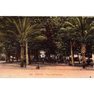 照片 法国(France) 科西嘉岛(Corsica) 老明信片(Old Postcards) 1900-01 306