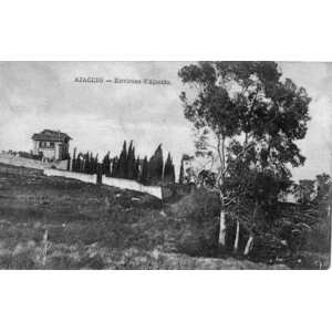 照片 法国(France) 科西嘉岛(Corsica) 老明信片(Old Postcards) 1900-01 288