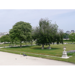 照片 法国(France) 巴黎(Paris) 杜乐丽花园(Garden of Tuileries) 2007-05 270