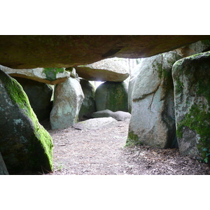 照片 法国(France) 普卢阿尔内勒(Plouharnel) 2008-07 27