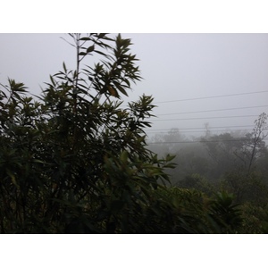 照片 巴拿马(Panama) 戴维至博卡斯德尔托罗(David to Bocas del toro) 2015-03 100