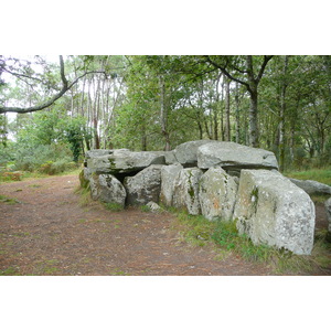 照片 法国(France) 普卢阿尔内勒(Plouharnel) 2008-07 19