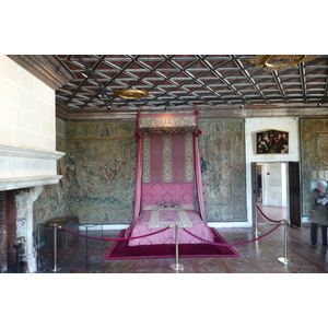 照片 法国(France) 舍农索城堡(Chenonceau Castle) 2008-04 73