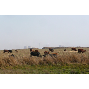 照片 南非(South Africa) 内尔斯普雷特至约翰内斯堡公路(Nelspruit to Johannesburg road) 2008-09 111