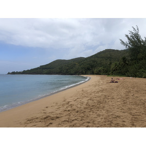 照片 瓜德罗普(Guadeloupe) 大湾海滩(Grande Hanse Beach) 2021-02 5