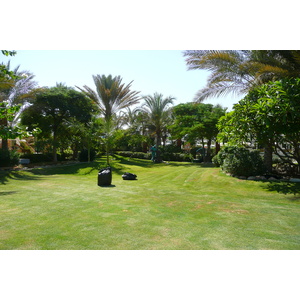 照片 埃及(Egypt) 沙姆沙伊赫(Sharm el Sheikh) 2008-06 62