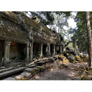 照片 柬埔寨(Cambodia) 暹粒(Siem Reap) 塔布茏寺(Ta Prohm) 2023-01 34