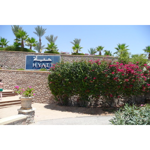 照片 埃及(Egypt) 沙姆沙伊赫(Sharm el Sheikh) 凯悦酒店(Hyatt Hotel) 沙姆沙伊赫凯悦海滩(Hyatt Sharm el Sheikh Beach) 2008-06 8