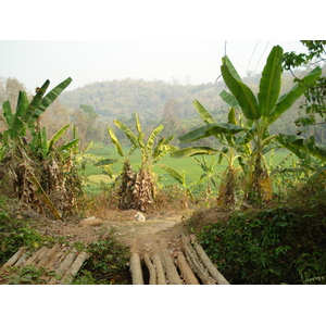 照片 泰国(Thailand) 清迈至拜县公路(Chiang Mai to Pai road) 2007-02 178