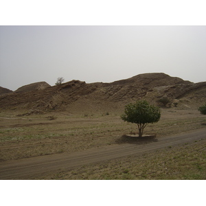 照片 阿曼(Oman) 布赖米至苏哈尔公路(Buraimi to Sohar road) 2005-03 2