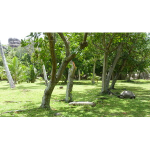 照片 塞舌尔(Seychelles) 大姐妹岛(Grande Soeur) 2011-10 37