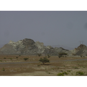 照片 阿曼(Oman) 布赖米至苏哈尔公路(Buraimi to Sohar road) 2005-03 13