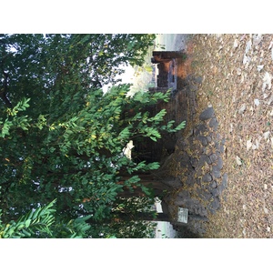 照片 泰国(Thailand) 西沙差那莱历史公园(Si satchanalai historical park) 2014-12 57