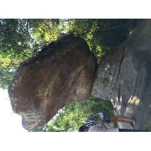照片 泰国(Thailand) 普欣隆卡国家公园(Phu Hin Rong Kla National Park) 2014-12 144