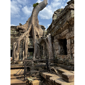 照片 柬埔寨(Cambodia) 暹粒(Siem Reap) 塔布茏寺(Ta Prohm) 2023-01 73