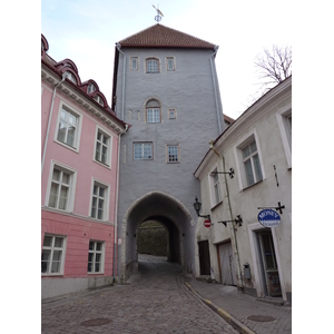 照片 爱沙尼亚(Estonia) 塔林(Tallinn) 塔林老城(Old Tallinn) 2009-04 94
