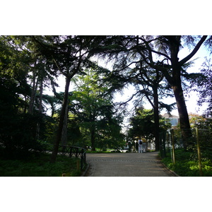 照片 法国(France) 巴黎(Paris) 巴黎植物园(Jardin des Plantes) 2007-08 148