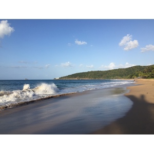 照片 瓜德罗普(Guadeloupe) 珍珠海滩(La Perle Beach) 2021-02 20