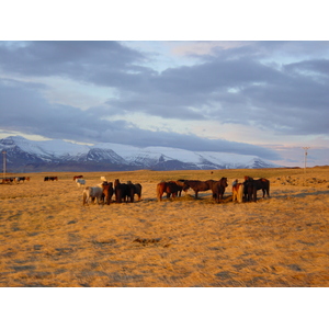 照片 冰岛(Iceland) 39号公路：前往雷克雅未克(Road 39 to Reykjavik) 2003-03 21