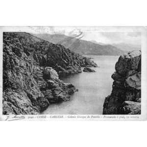 照片 法国(France) 科西嘉岛(Corsica) 老明信片(Old Postcards) 1900-01 30
