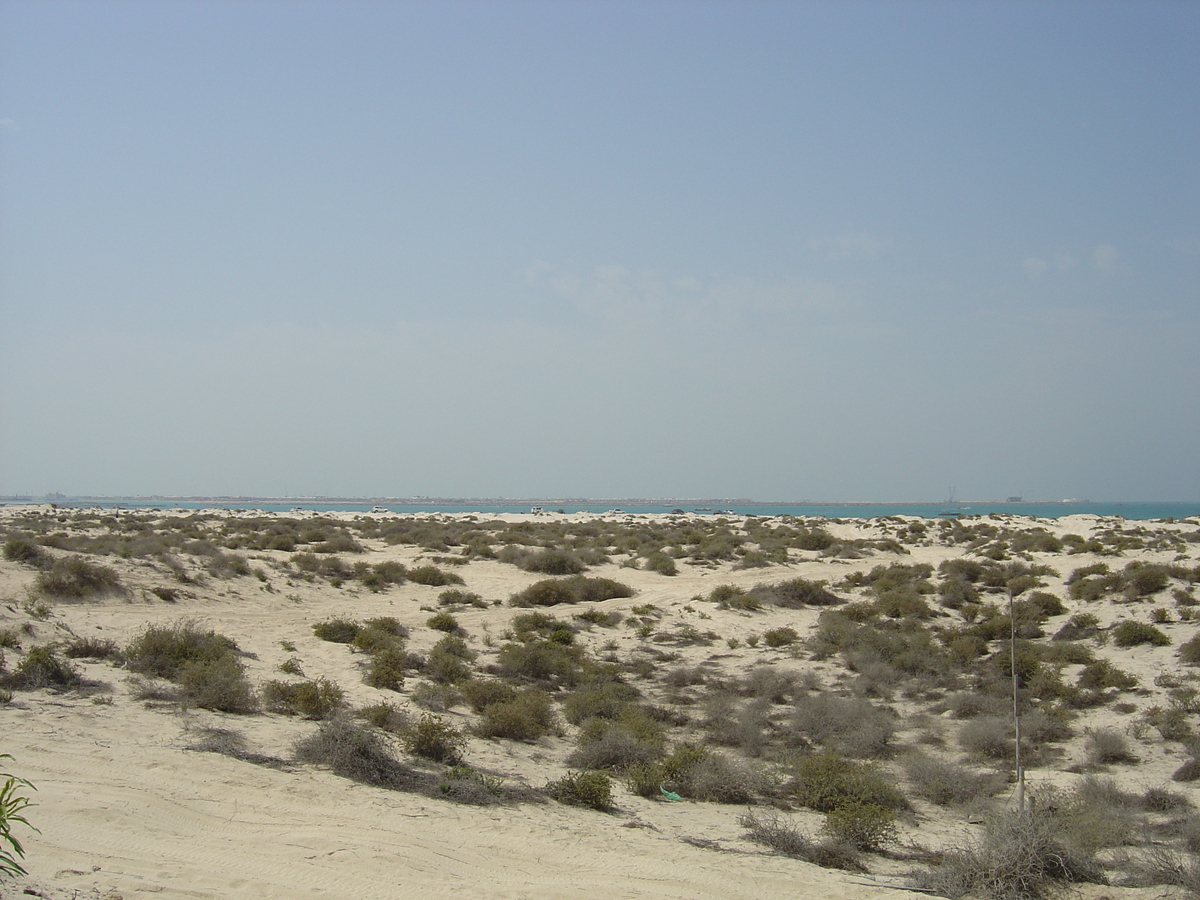 照片 阿联酋(United Arab Emirates) 迪拜(Dubai) 朱美拉海滩(Jumeirah Beach) 2005-03 9