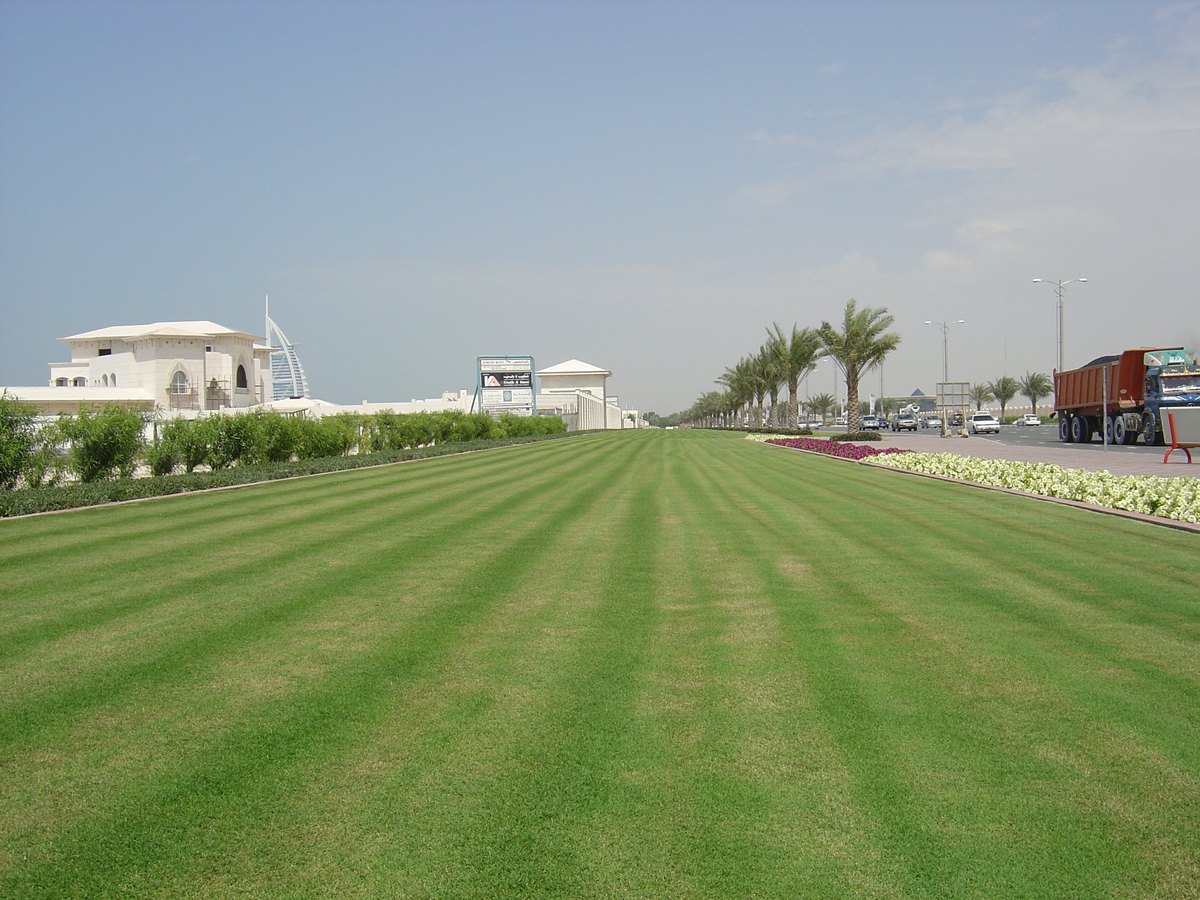 照片 阿联酋(United Arab Emirates) 迪拜(Dubai) 朱美拉海滩(Jumeirah Beach) 2005-03 0