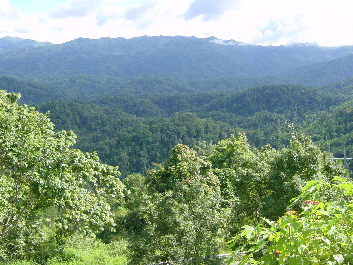 照片 泰国(Thailand) 夜丰颂(Mae Hong Son) 2003-07 33