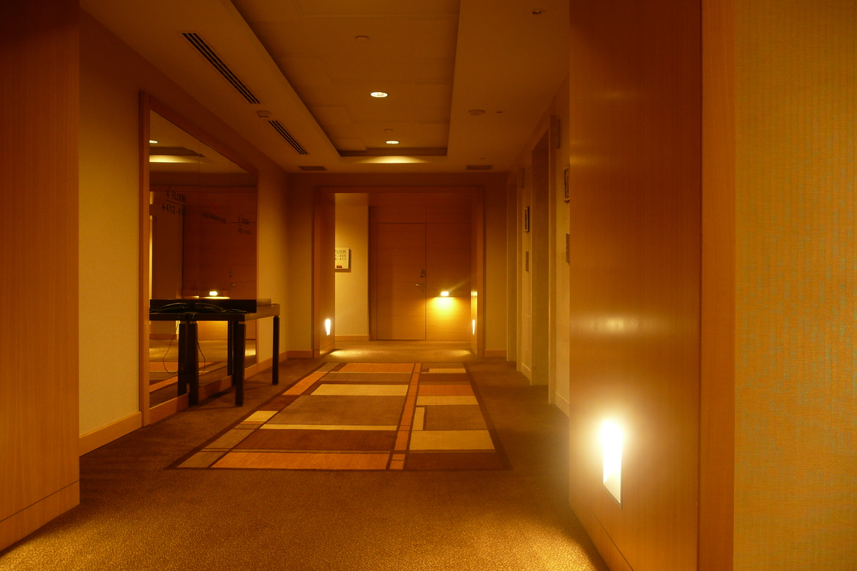 照片 土耳其(Turkey) 伊斯坦布尔(Istanbul) 伊斯坦布尔瑞享酒店(Movenpick Istanbul Hotel) 2009-04 13