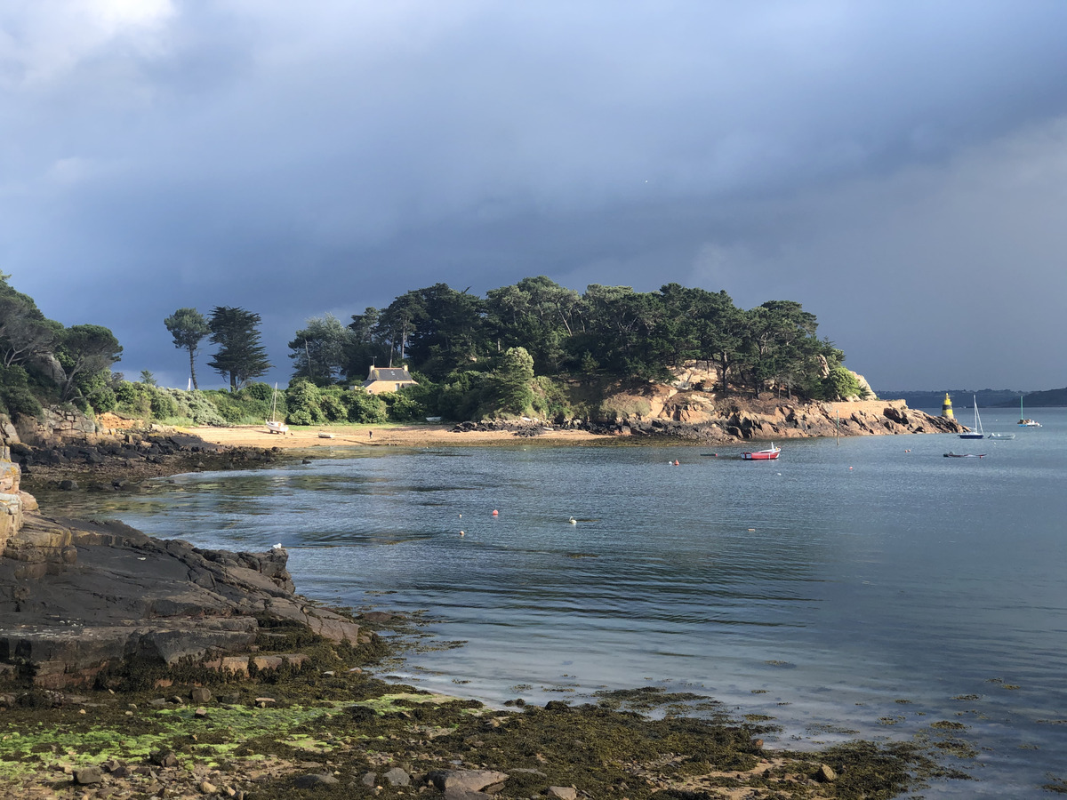 照片 法国(France) 布雷阿岛(Brehat Island) 2020-06 52