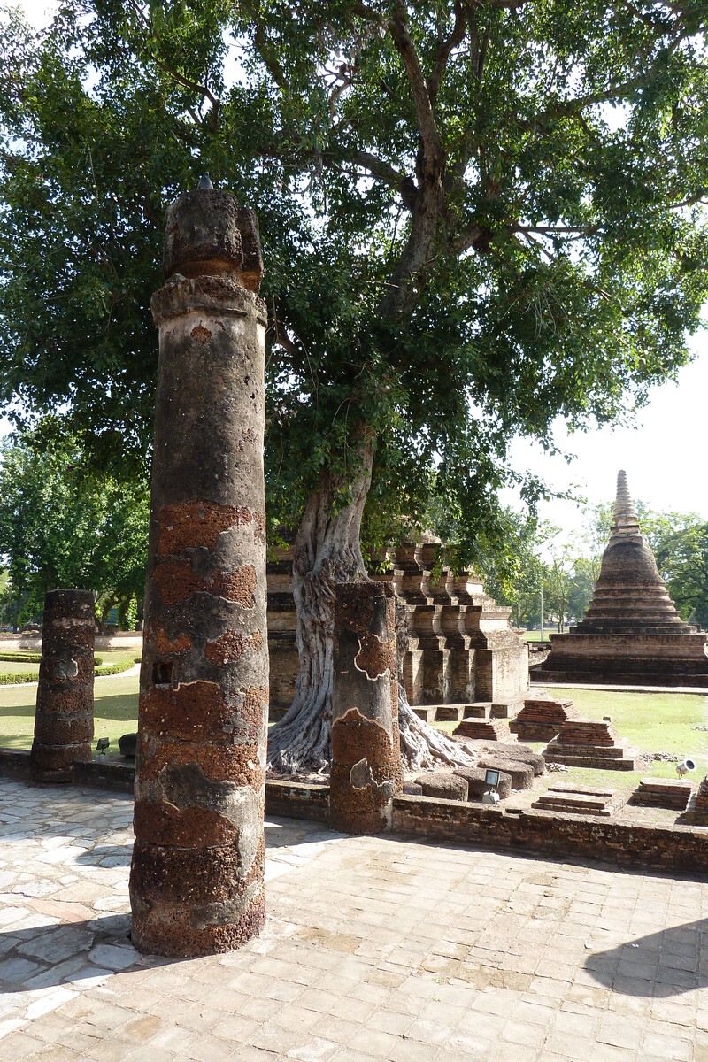 照片 泰国(Thailand) 素可泰(Sukhothai) 2010-12 36
