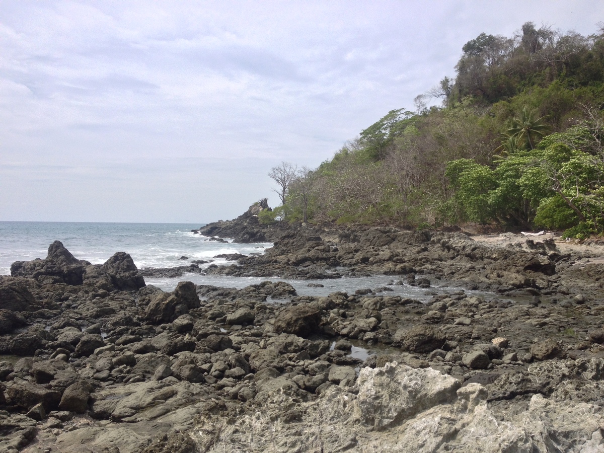 照片 哥斯达黎加(Costa Rica) 蒙特苏马(Montezuma) 2015-03 445