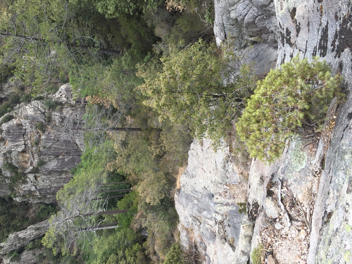 照片 法国(France) 科西嘉岛(Corsica) 普尔卡拉恰瀑布(Cascades de Purcaraccia) 2017-09 59