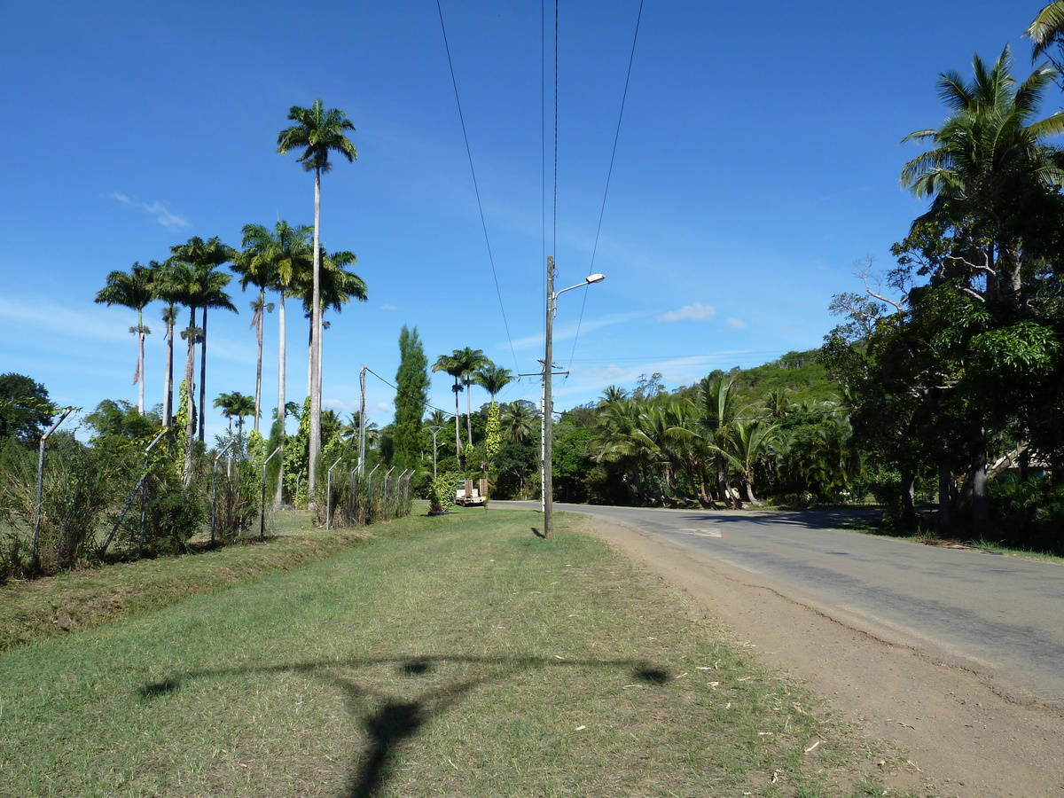 照片 新喀里多尼亚(New Caledonia) 卡纳拉至拉福阿公路(Canala to La Foa road) 2010-05 0
