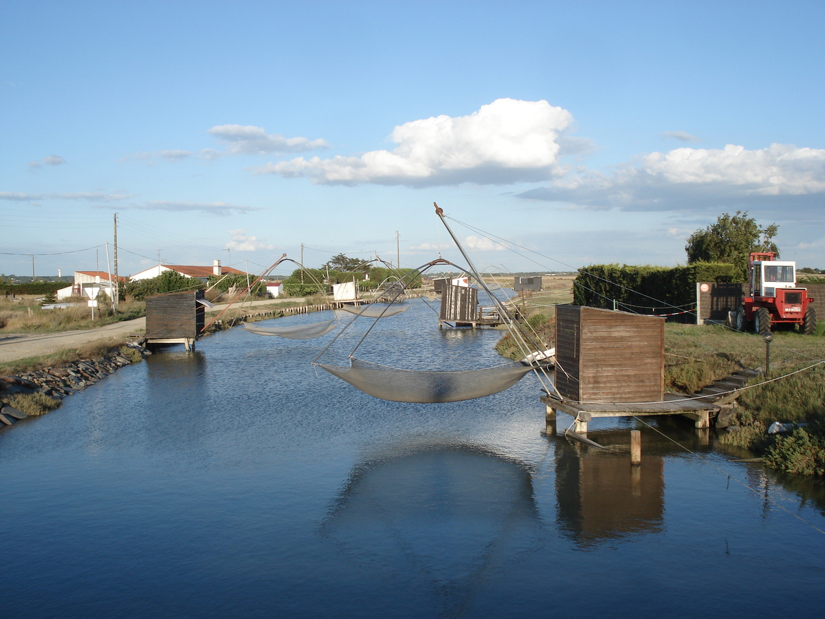 照片 法国(France) 努瓦尔穆捷(Noirmoutier) 2006-08 50