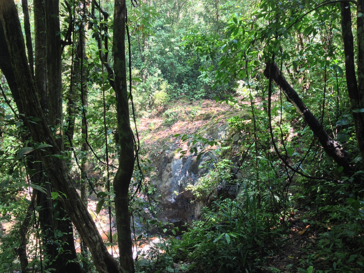 照片 哥斯达黎加(Costa Rica) 曼努埃尔安东尼奥(Manuel Antonio) 2015-03 211