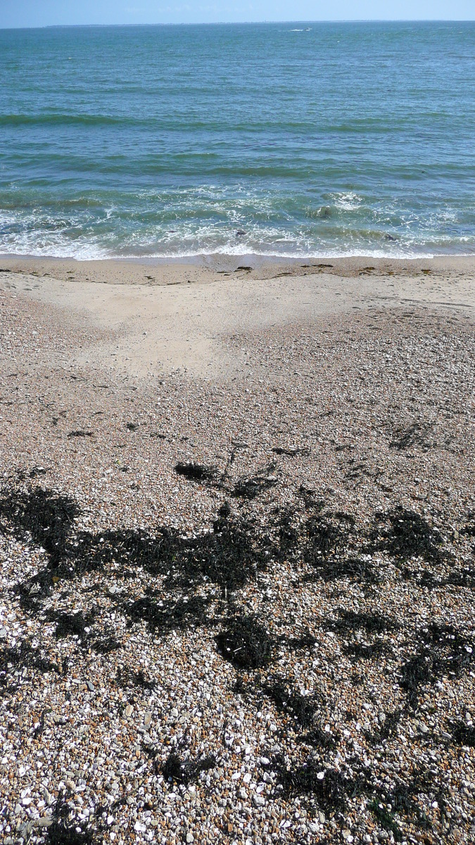 照片 法国(France) 普雷法耶(Prefailles) 圣吉尔达角至普雷法耶(Pointe St Gildas to Prefailles) 2007-07 38