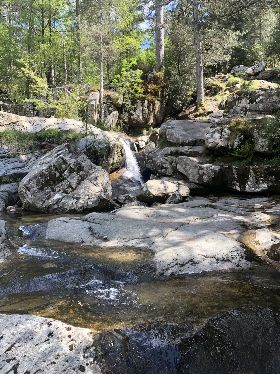 照片 法国(France) 科西嘉岛(Corsica) 艾托内森林(Aitone Forest) 2021-06 12
