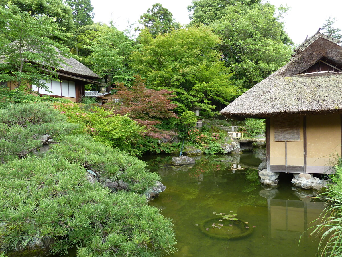 照片 日本(Japan) 2010-06 32