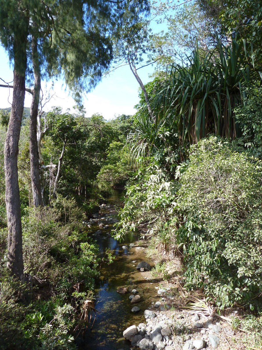 照片 新喀里多尼亚(New Caledonia) 蒂奥至卡纳拉公路(Thio to Canala road) 2010-05 9