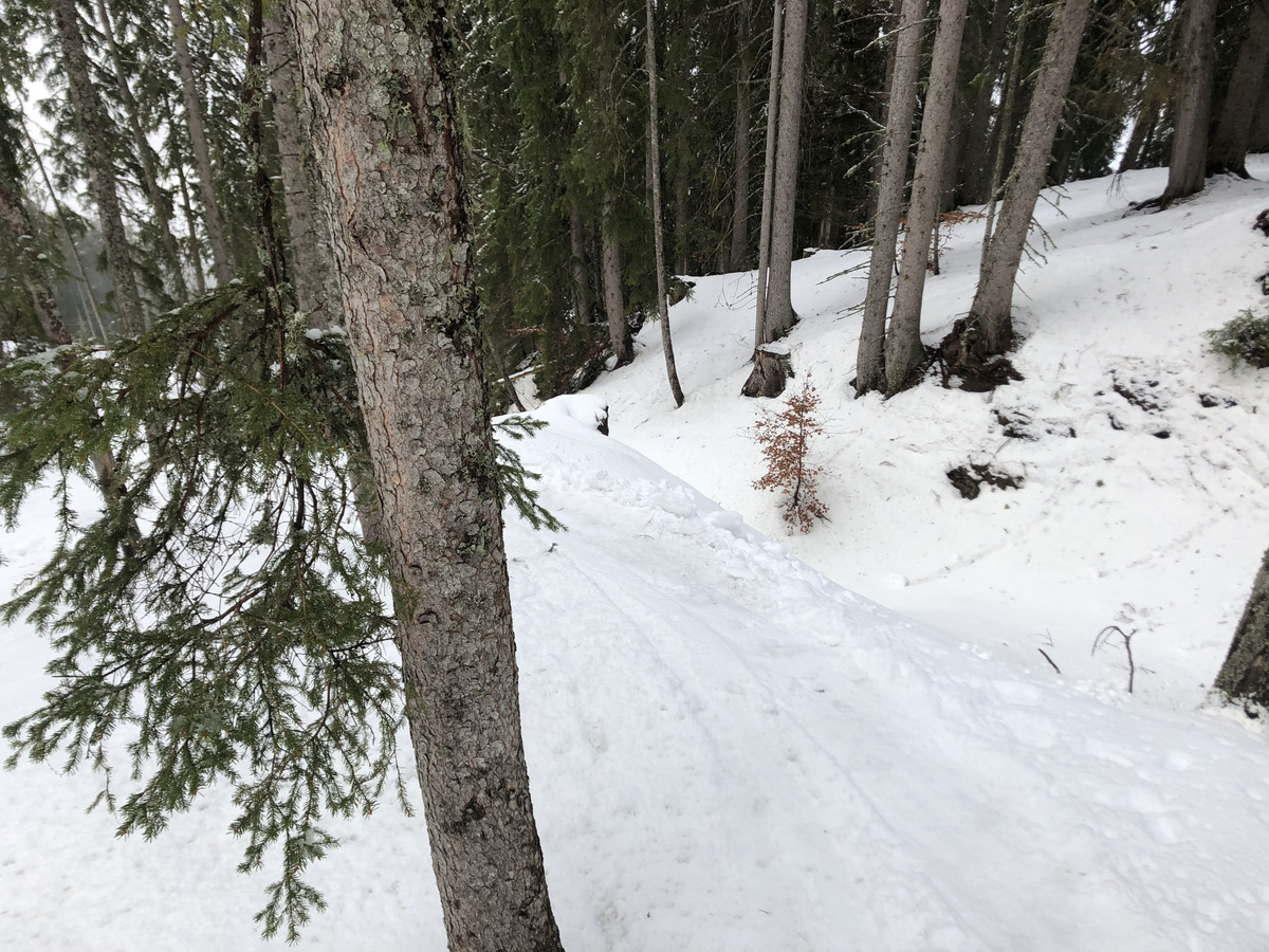 照片 法国(France) 梅杰夫(Megeve) 2019-03 66