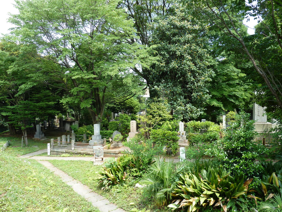 照片 日本(Japan) 东京(Tokyo) 表参道(Omotesando) 2010-06 17