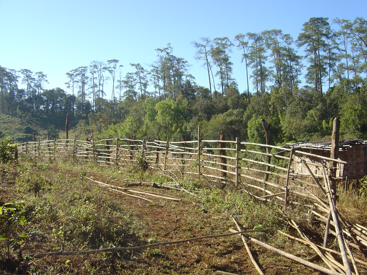 照片 泰国(Thailand) 邦玛帕(Pang Mapha) 2005-12 43